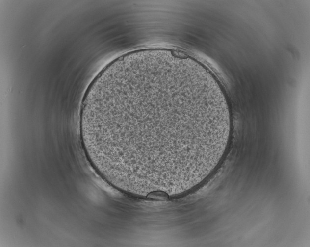 X0000110941236200907171601