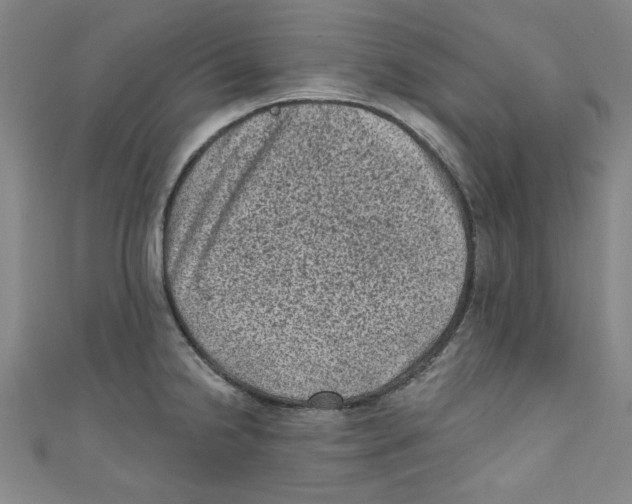 X0000110941238200907171601