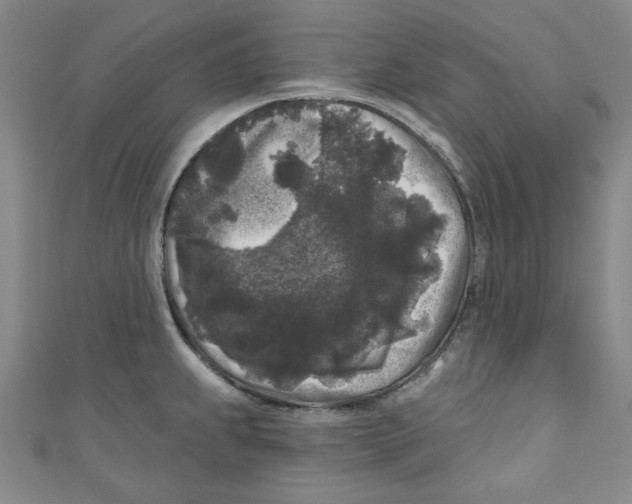 X0000110941239200907171601