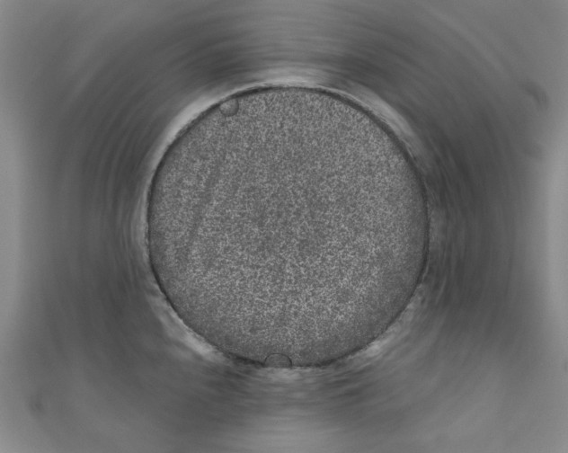 X0000110941240200907171601