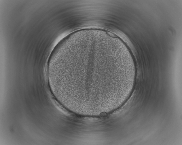 X0000110941242200907171601