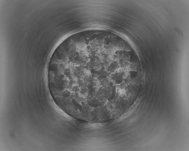 X0000110941243200907171601