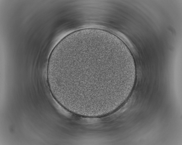 X0000110941244200907171601