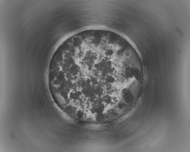 X0000110941245200907171601