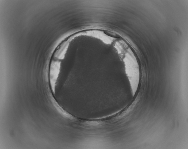 X0000110941246200907171601