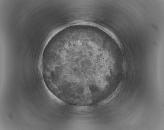 X0000110941247200907171601