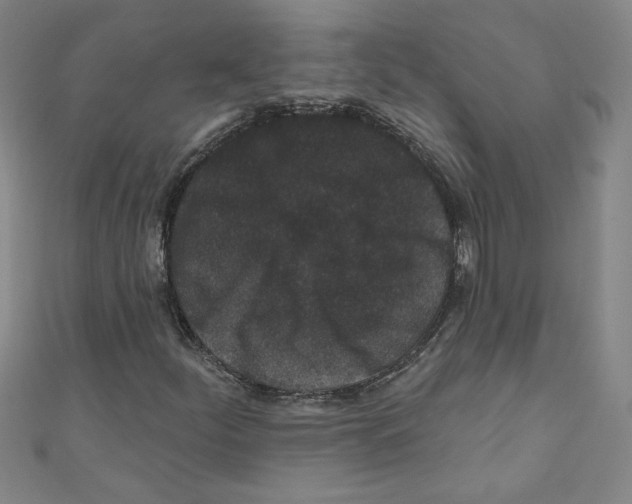 X0000110941252200907171601