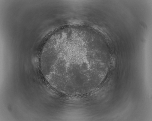 X0000110941254200907171601
