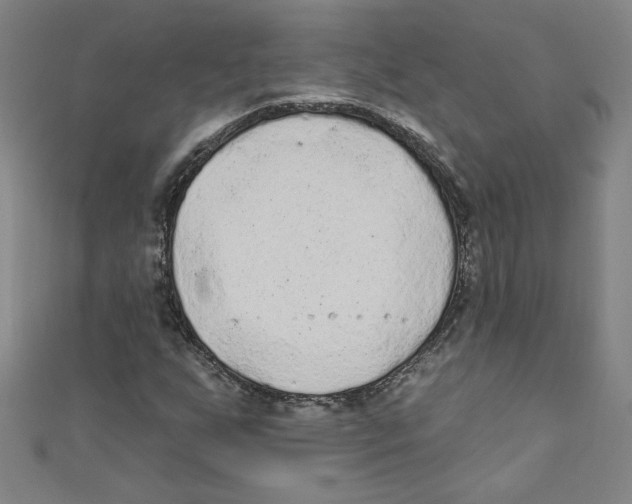 X0000110941255200907171601