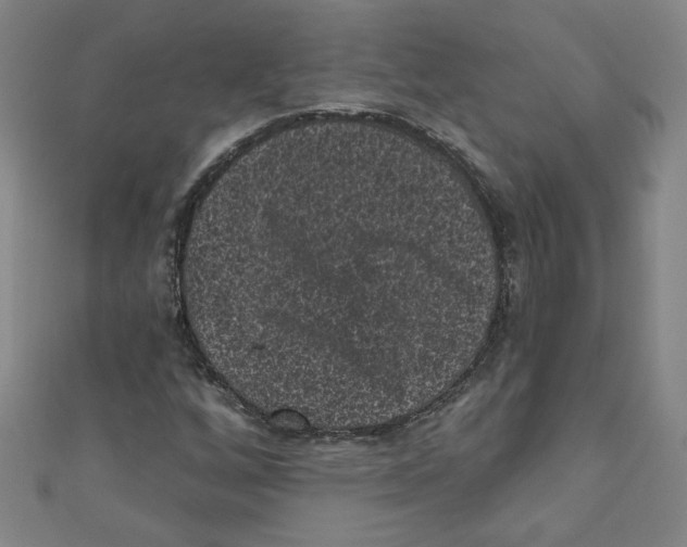 X0000110941256200907171601