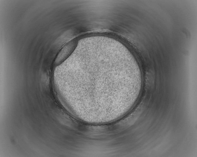 X0000110941257200907171601