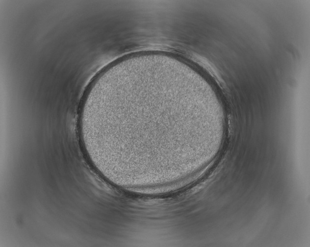 X0000110941260200907171601