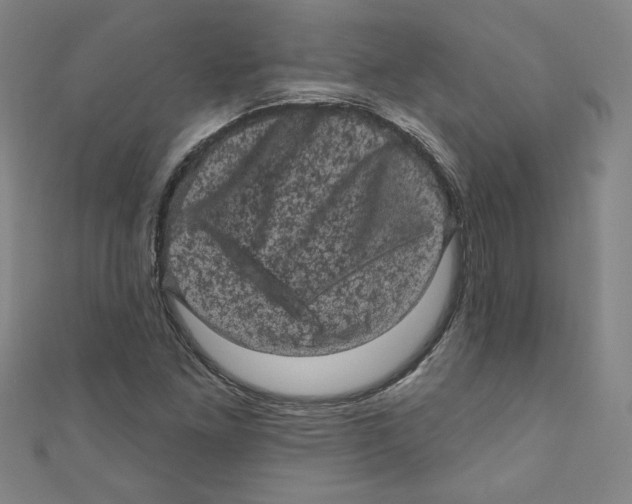 X0000110941261200907171601