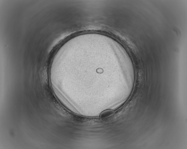 X0000110941262200907171601