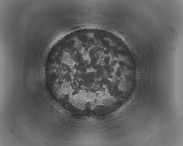 X0000110941263200907171601