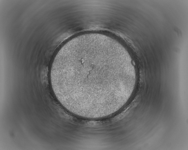 X0000110941265200907171601