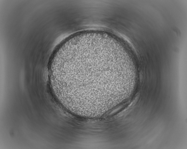 X0000110941267200907171601