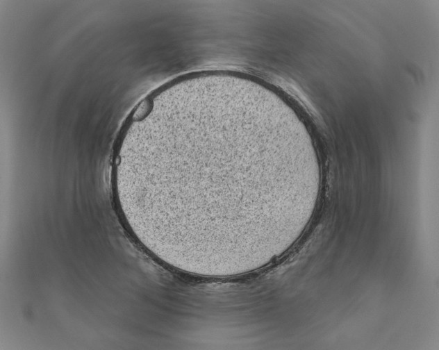 X0000110941268200907171601