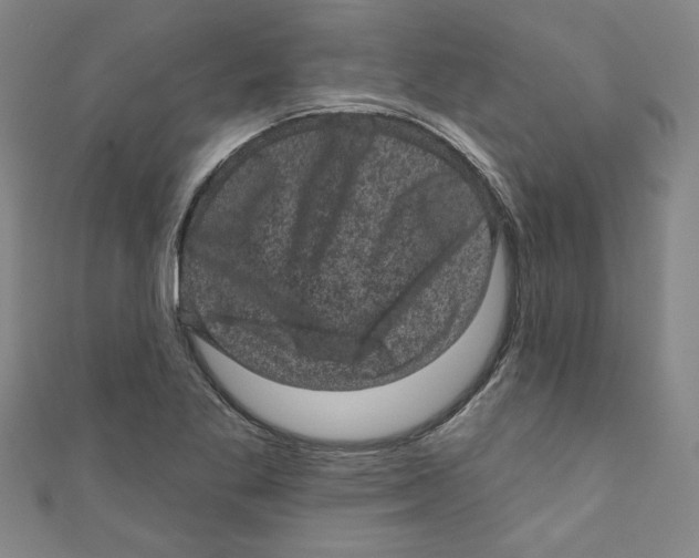 X0000110941269200907171601