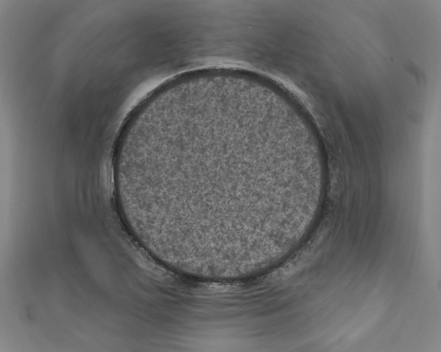 X0000110941271200907171601