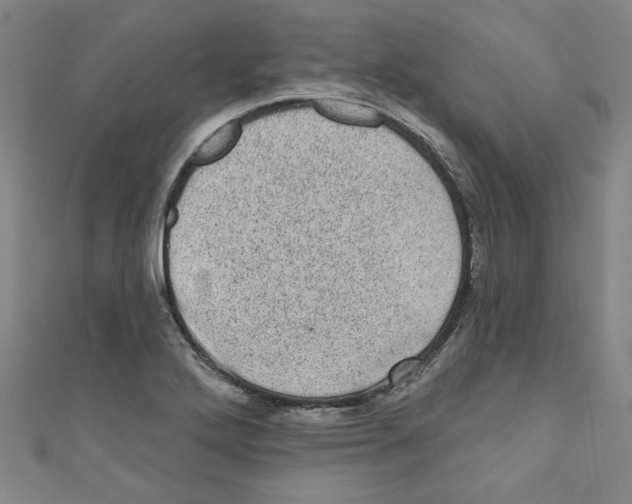 X0000110941272200907171601