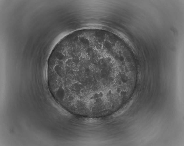 X0000110941275200907171600
