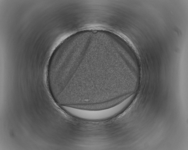 X0000110941277200907171600