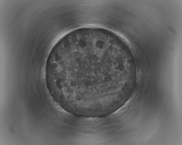 X0000110941279200907171600