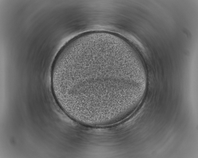 X0000110941280200907171600