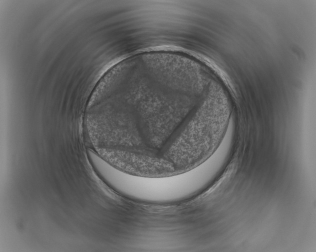 X0000110941281200907171600