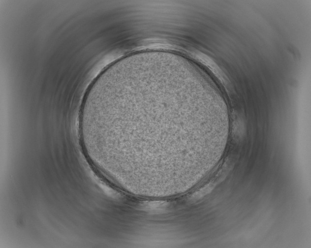 X0000110941282200907171600
