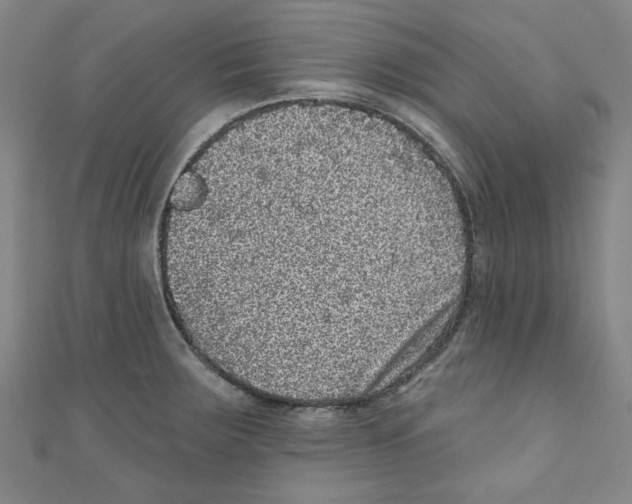 X0000110941283200907171600