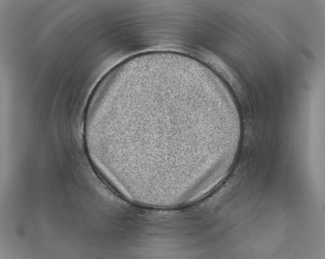 X0000110941284200907171600
