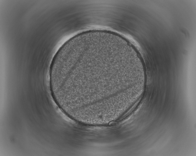 X0000110941287200907171600