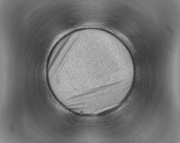 X0000110941288200907171600