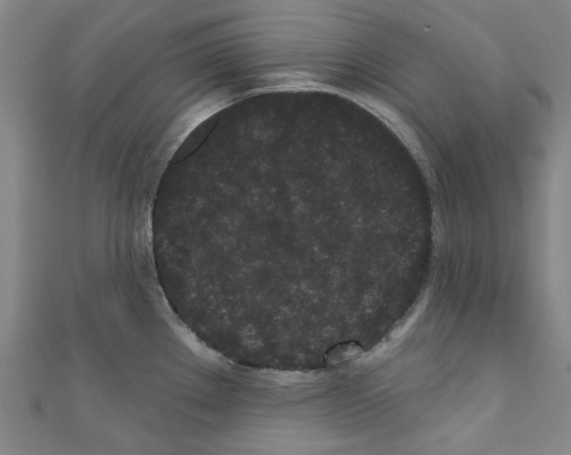 X0000110941289200907171600