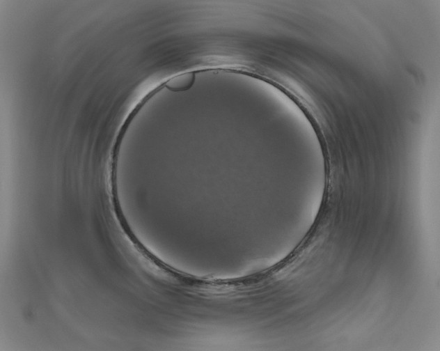 X0000110941291200907171600
