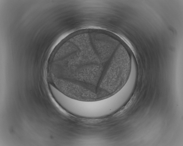 X0000110941293200907171600