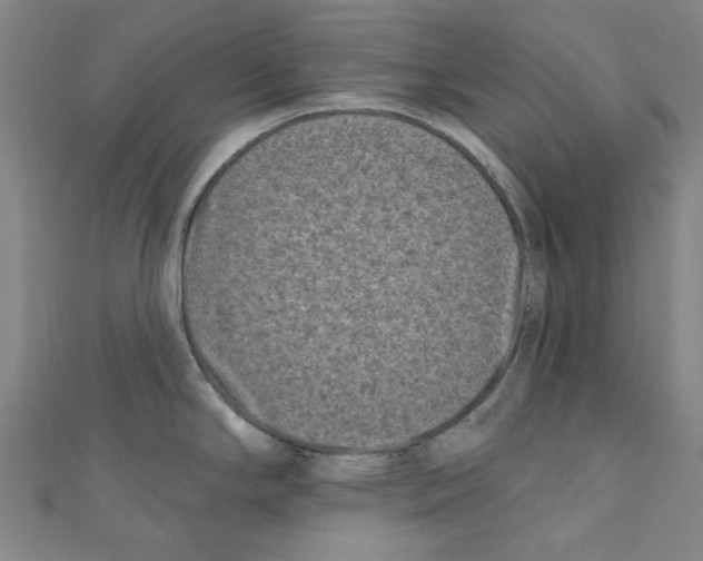 X0000110941294200907171600
