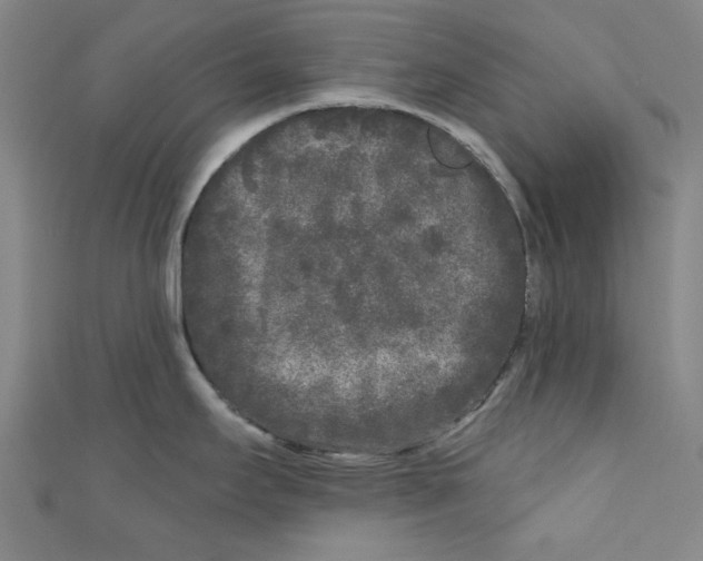 X0000110941295200907171600