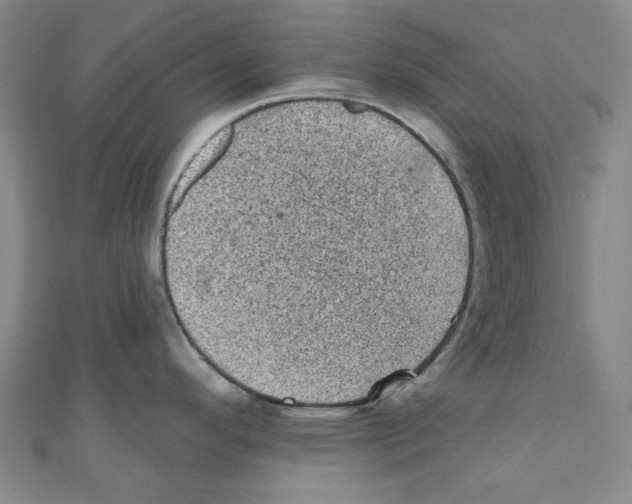 X0000110941296200907171600