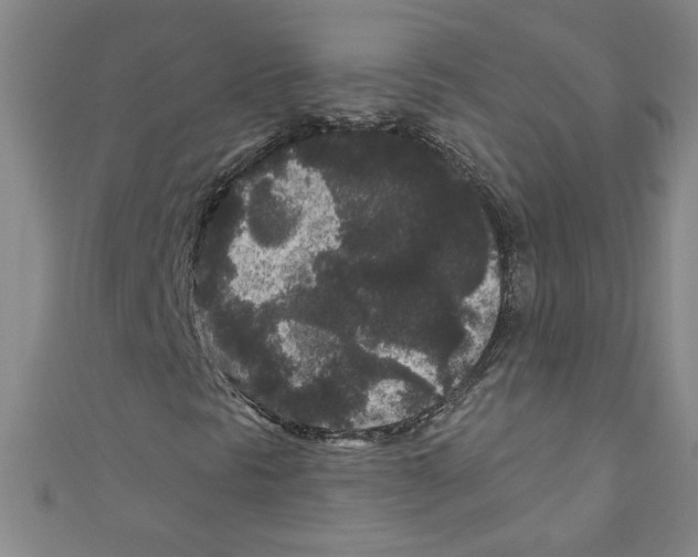 X0000110941297200907171600