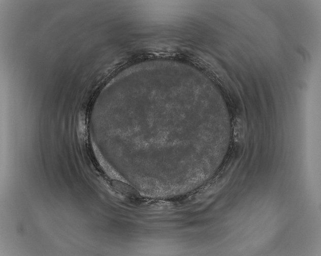 X0000110941298200907171600