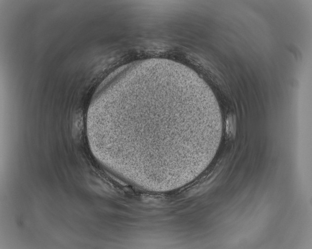 X0000110941299200907171600