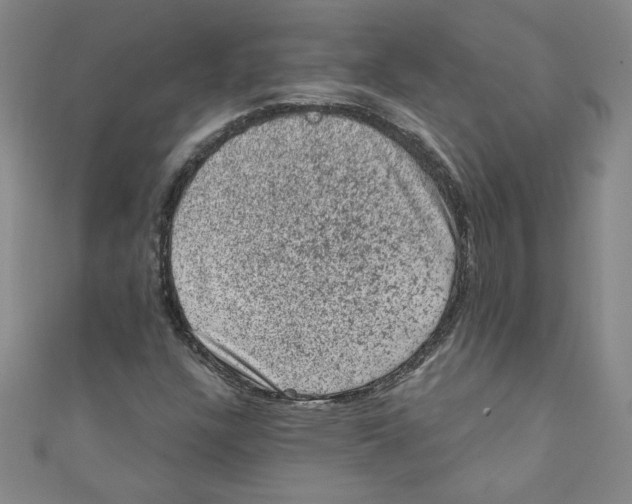X0000110941304200907171600