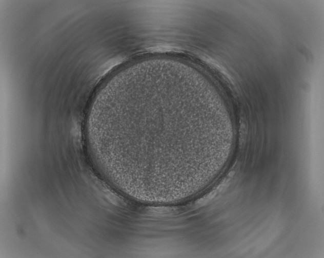 X0000110941305200907171600