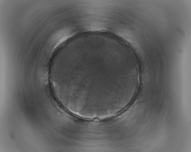 X0000110941306200907171600