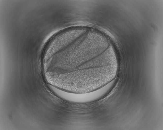 X0000110941310200907171600