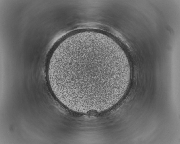 X0000110941312200907171600
