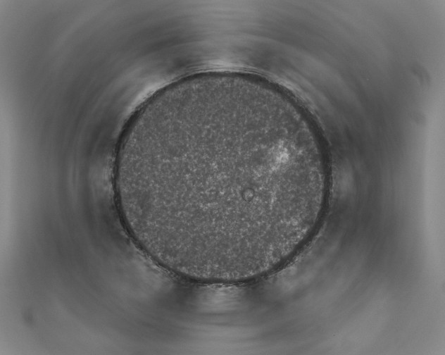 X0000110941314200907171600